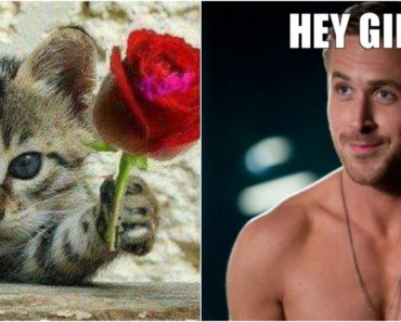 101 Cute I Love You Memes to Share with the People You Love