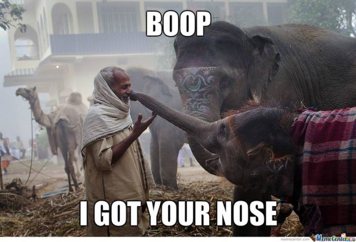 "Boop. I got your nose."