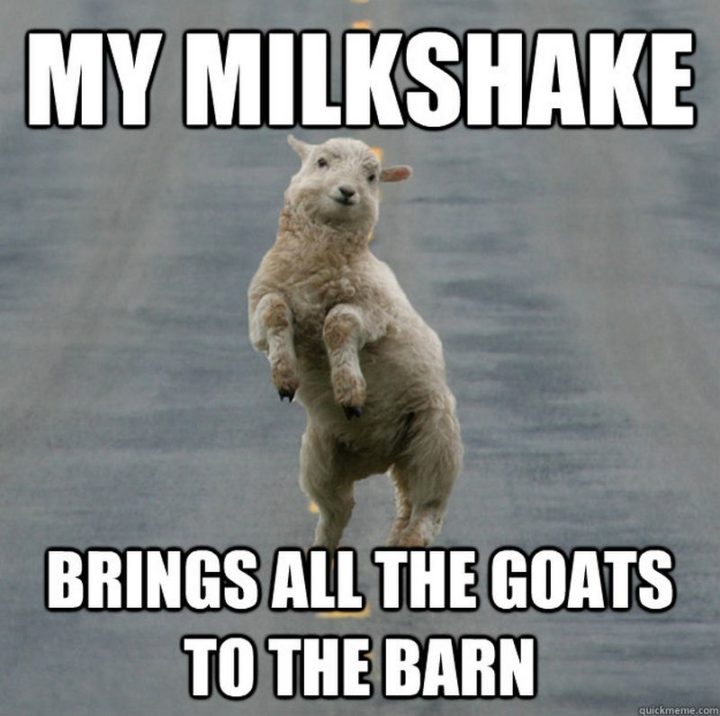 "My milkshake brings all the goats to the barn."
