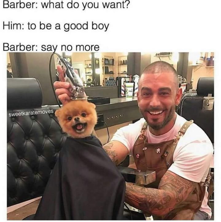 "Barber: What do you want? Him: To be a good boy. Barber: Say no more."
