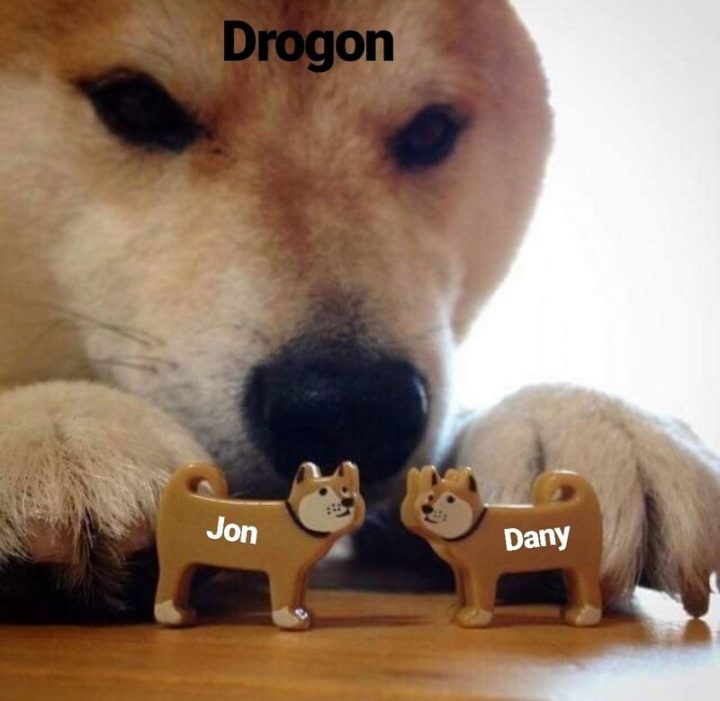 91 Game of Thrones Memes - "Drogon. Jon. Dany."