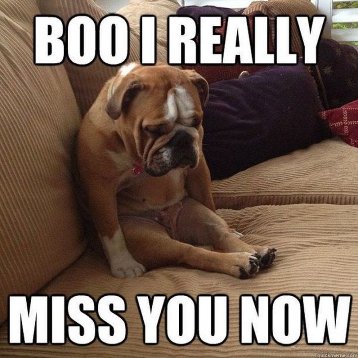 "Boo, I really miss you now."