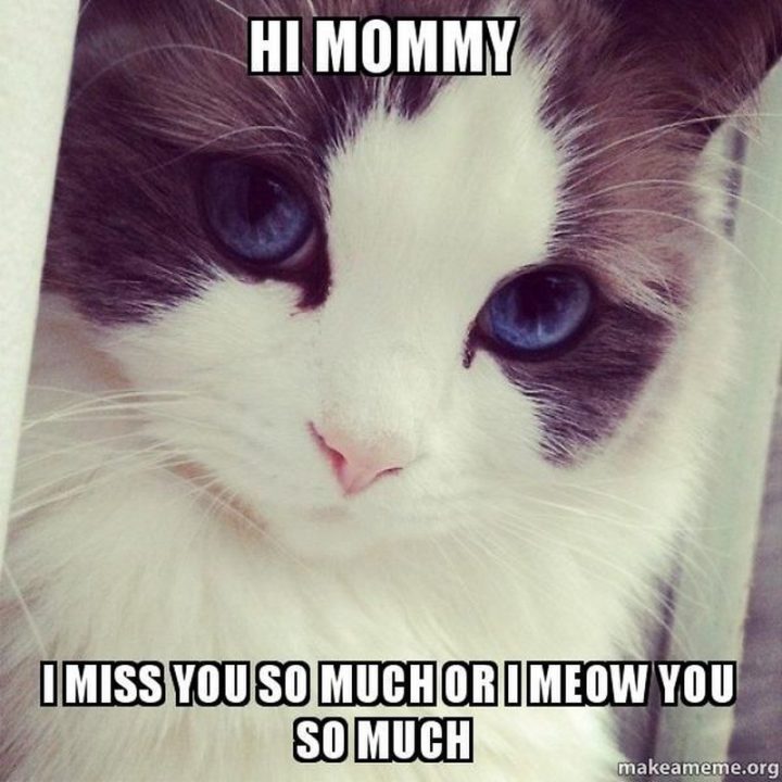 "Hi mommy, I miss you so much or I meow you so much."