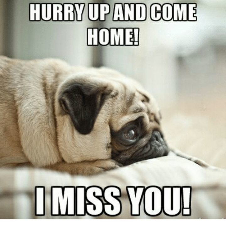 "Hurry up and come home! I miss you!"