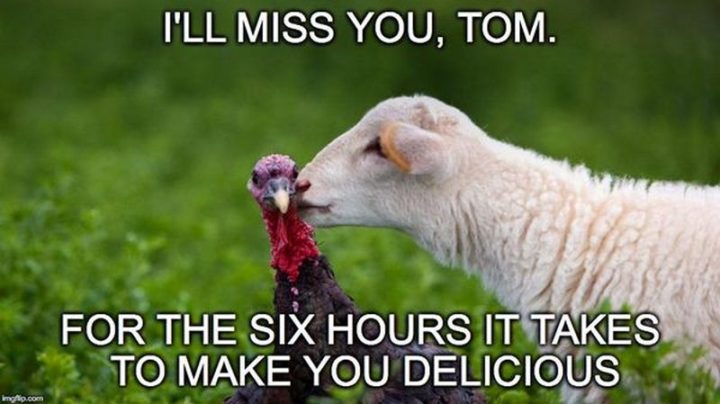 "I'll miss you, Tom. For the six hours it takes to make you delicious."