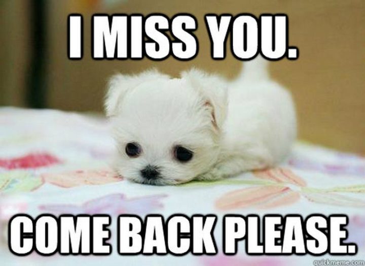 "I miss you. Come back please."