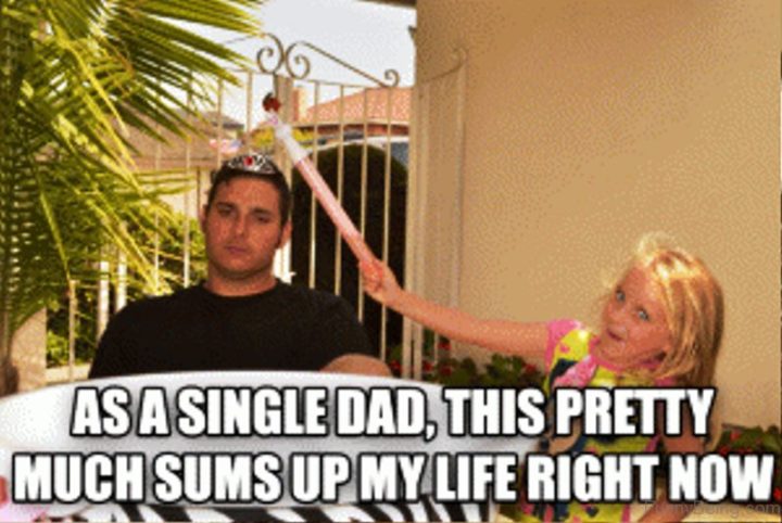 "As a single dad, this pretty much sums up my life right now."