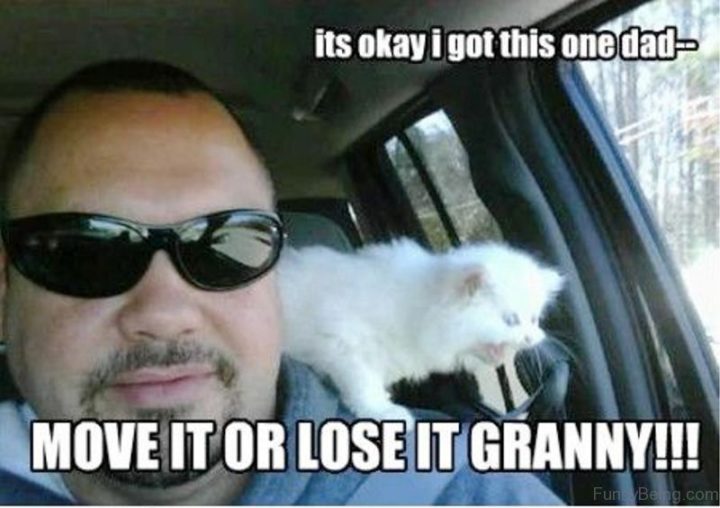71 Funny Dad Memes - "It's okay, I got this one dad...Move it or lose it granny!!!"