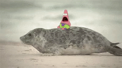 101 Funny Memes - Patrick riding a seal.