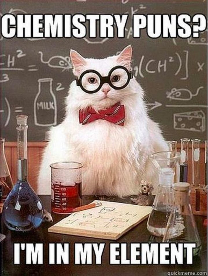 101 Funny Memes - "Chemistry puns? I'm in my element."
