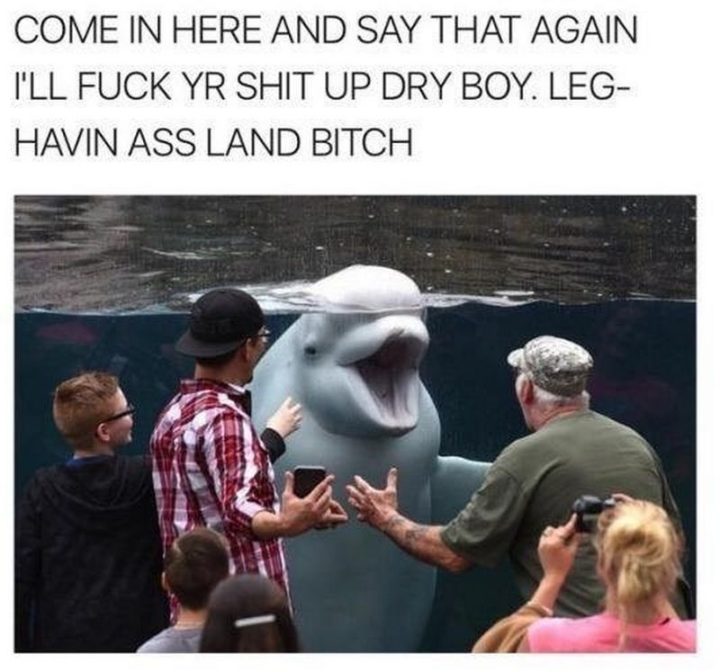101 Funny Memes - "Come in here and say that again. I'll f**k yr s**t up dry boy. Leg-havin a** land b***h."