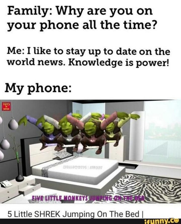 "Family: Why are you on your phone all the time? Me: I like to stay up to date on world news. Knowledge is power! My phone: 5 Little SHREK jumping on the bed."