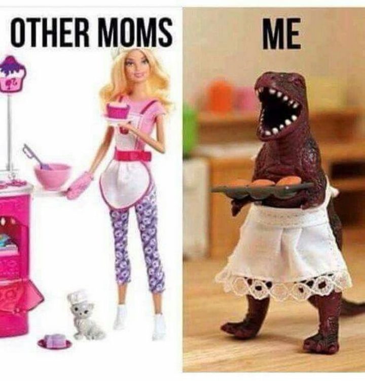 101 Funny Mom Memes - "Other moms vs me."