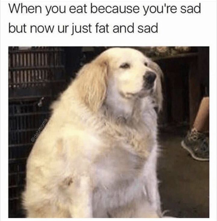 "When you eat because you're sad but now ur just fat and sad."