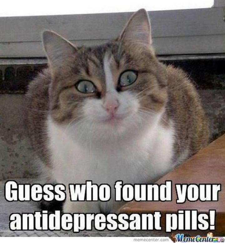 "Guess who found your antidepressant pills!"