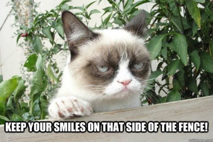 "Keep your smiles on that side of the fence!"