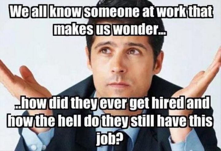 "We all know someone at work that makes us wonder...How did they ever get hired and how the hell do they still have this job?"