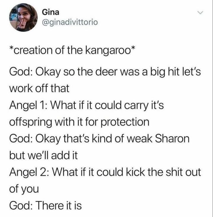 "*Creation of the kangaroo* God: Okay so the deer was a big hit let's work off that. Angel 1: What if it could carry its offspring with it for protection. God: Okay that's kind of weak Sharon but we'll add it. Angel 2: What if it could kick the shit out of you. God: There it is."