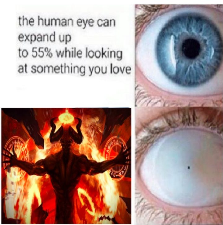 "The human eye can expand up to 55% while looking at something you love."