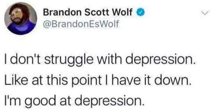 61 Depression Memes - "I don't struggle with depression. Like at this point I have it down. I'm good at depression."