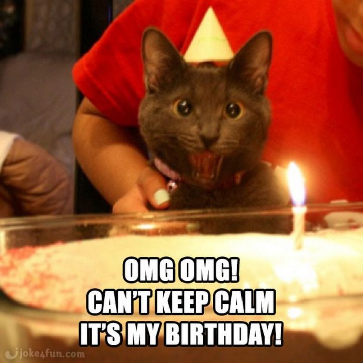 "OMG OMG! Can't keep calm. It's my birthday!"