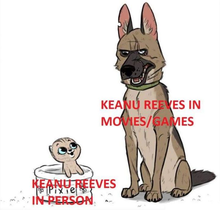 57 Keanu Reeves Memes - " Keanu Reeves i person . Keanu Reeves i filmer / spill."