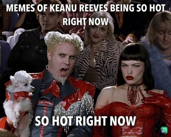 57 Keanu Reeves Memes - " Meme de Keanu Reeves fiind atât de fierbinte chiar acum. Atât de fierbinte chiar acum."