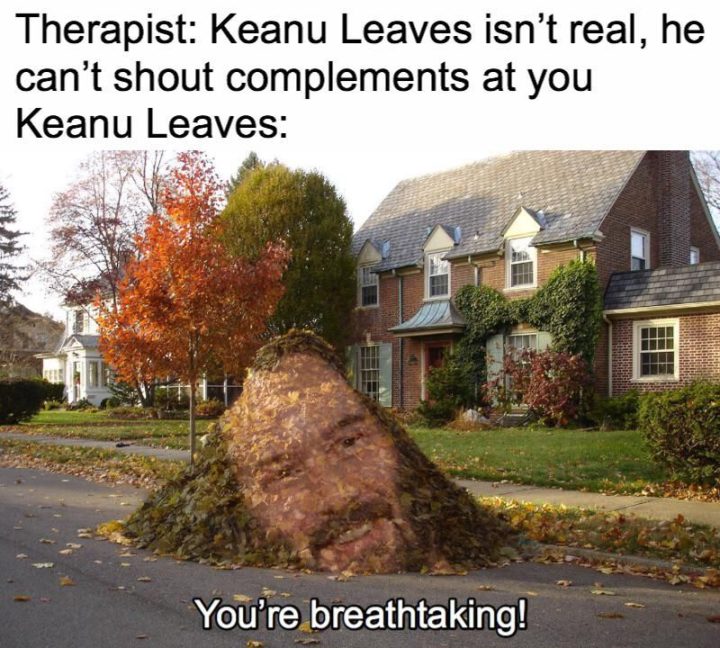 57 Keanu Reeves Memes-Terapeuta: Keanu Leaves no es real, no puede gritarte cumplidos. Hojas de Keanu: ¡Eres impresionante!