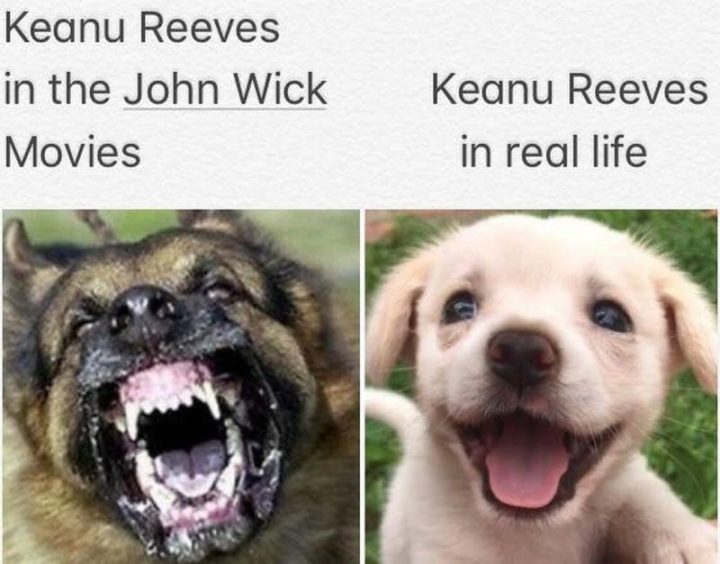 57 Keanu Reeves Memes - " Keanu Reeves in the John Wick movies. Keanu Reeves in het echt."
