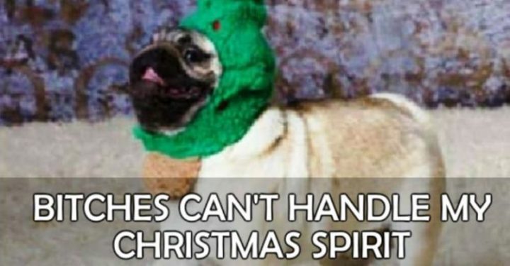 101 Cute Pug Memes - "People can't handle my Christmas spirit."