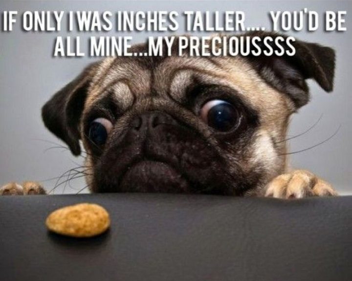 "If only I was inches taller...You'd be all mine...My precioussss."