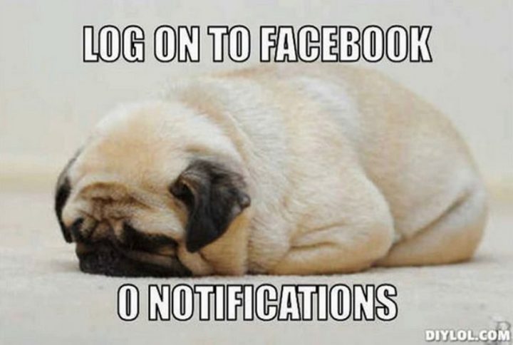 "Log on to Facebook. 0 notifications."