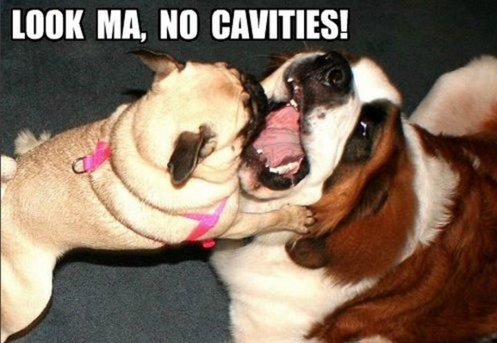 "Look ma, no cavities!"