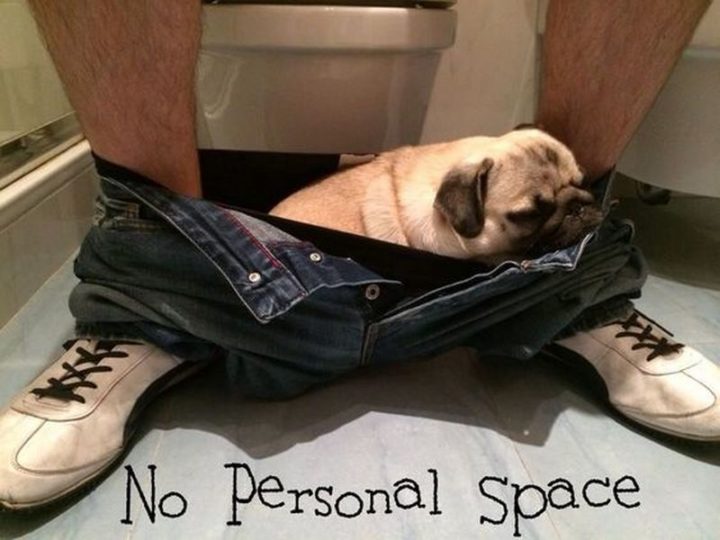 "No personal space."