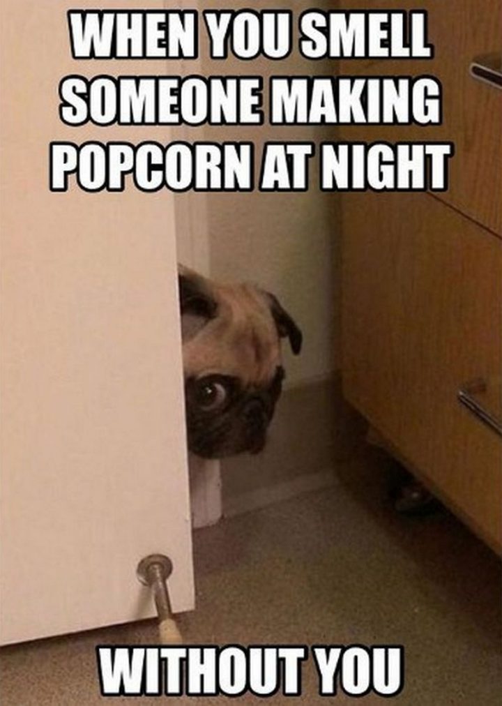 "When you smell someone making popcorn at night without you."