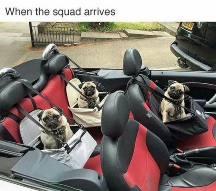 "When the squad arrives."