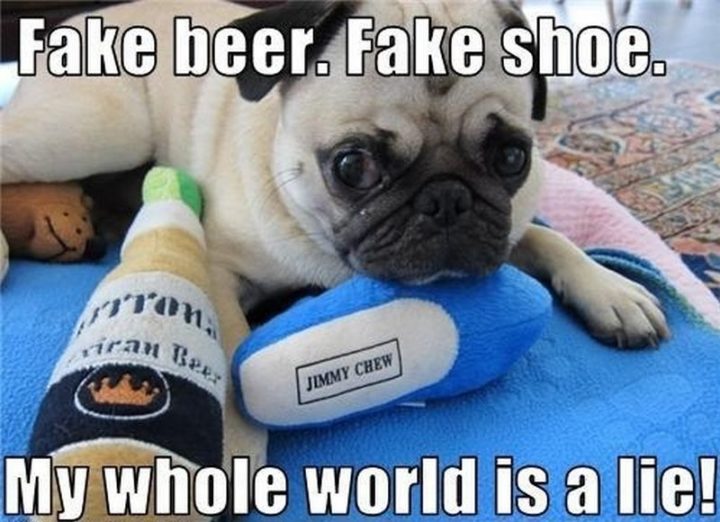 "Fake beer. Fake shoes. My whole world is a lie!"