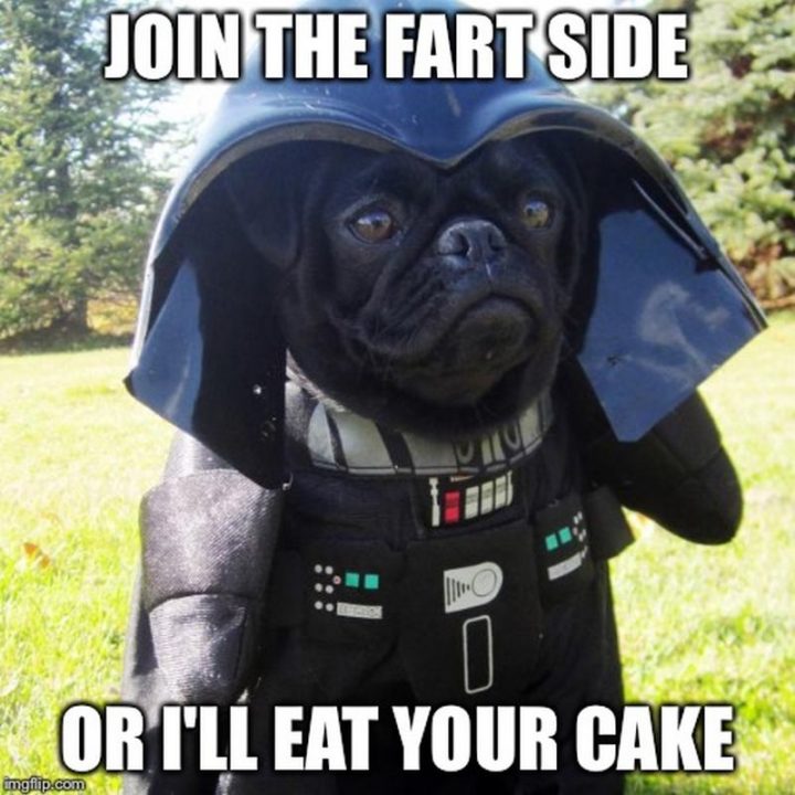 "Join the fart side or I'll eat your cake."