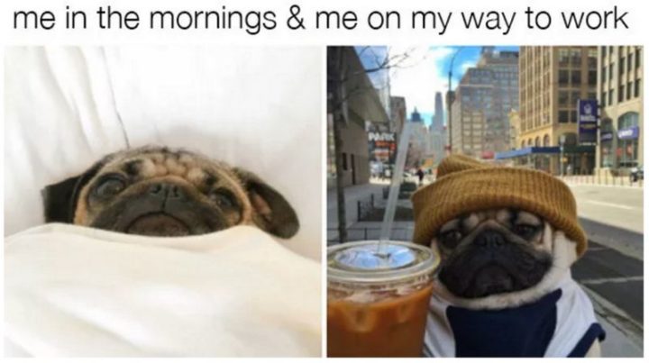 "Me in the morning and me on my way to work."