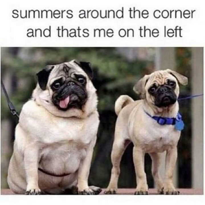 "Summers around the corner and that's me on the left."