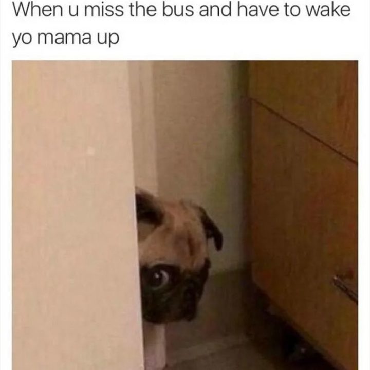 "When u miss the bus and have to wake yo mama up."