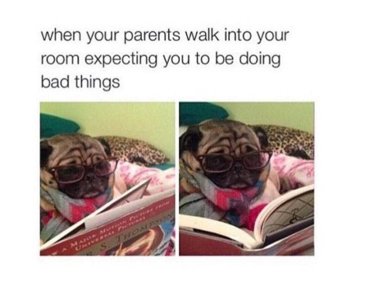 "When your parents walk into your room expecting you to be doing bad things."