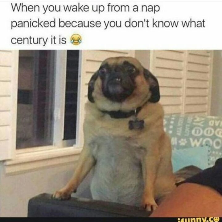 "When you wake up from a nap panicked because you don't know what century it is."