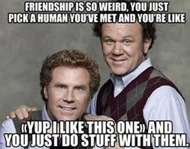 65 Funny Friend Memes - "Friendship is so weird. You just pick a human you've met and you're like 'yup I like this one' and you just do stuff with them."