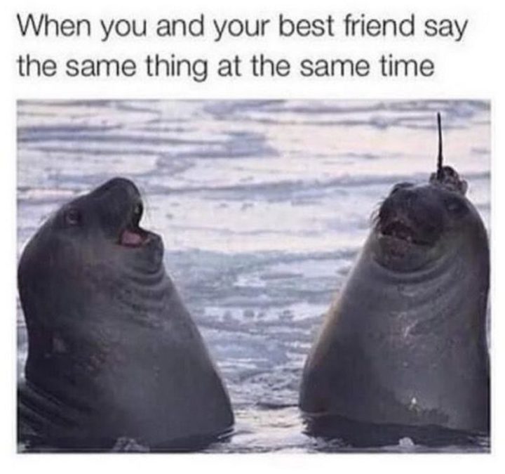 "When you and your best friend say the same thing at the same time."