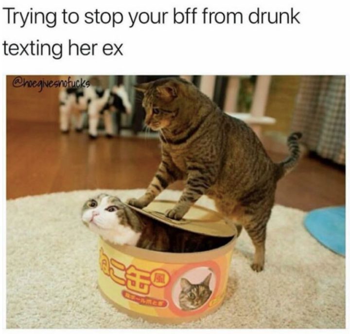 65 Funny Friend Memes - "Trying to stop your BFF from drunk texting her ex."