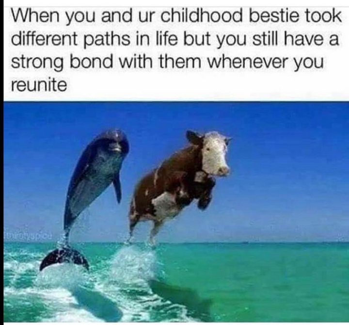 65 Funny Friend Memes - "When you and ur childhood bestie took different paths in life but you still have a strong bond with them whenever you reunite."