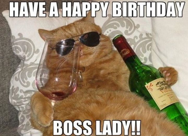 101 Funny Cat Birthday Memes - "Have a happy birthday boss lady!!"
