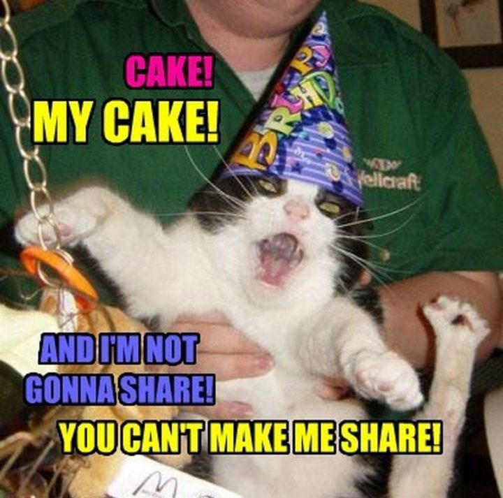 101 Funny Cat Birthday Memes - "Cake! My cake! And I'm not gonna share! You can't make me share!"