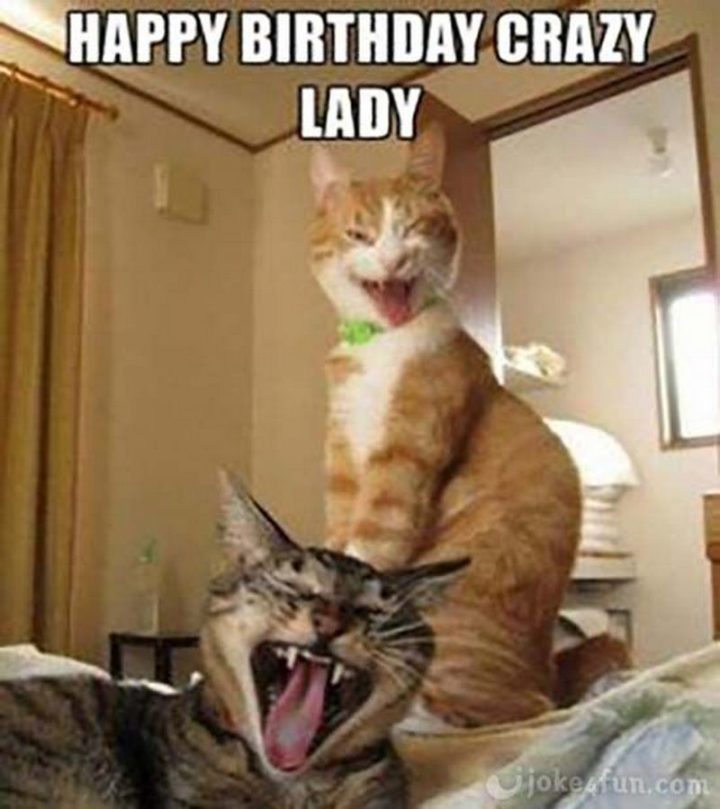 101 Funny Cat Birthday Memes - "Happy birthday crazy lady."